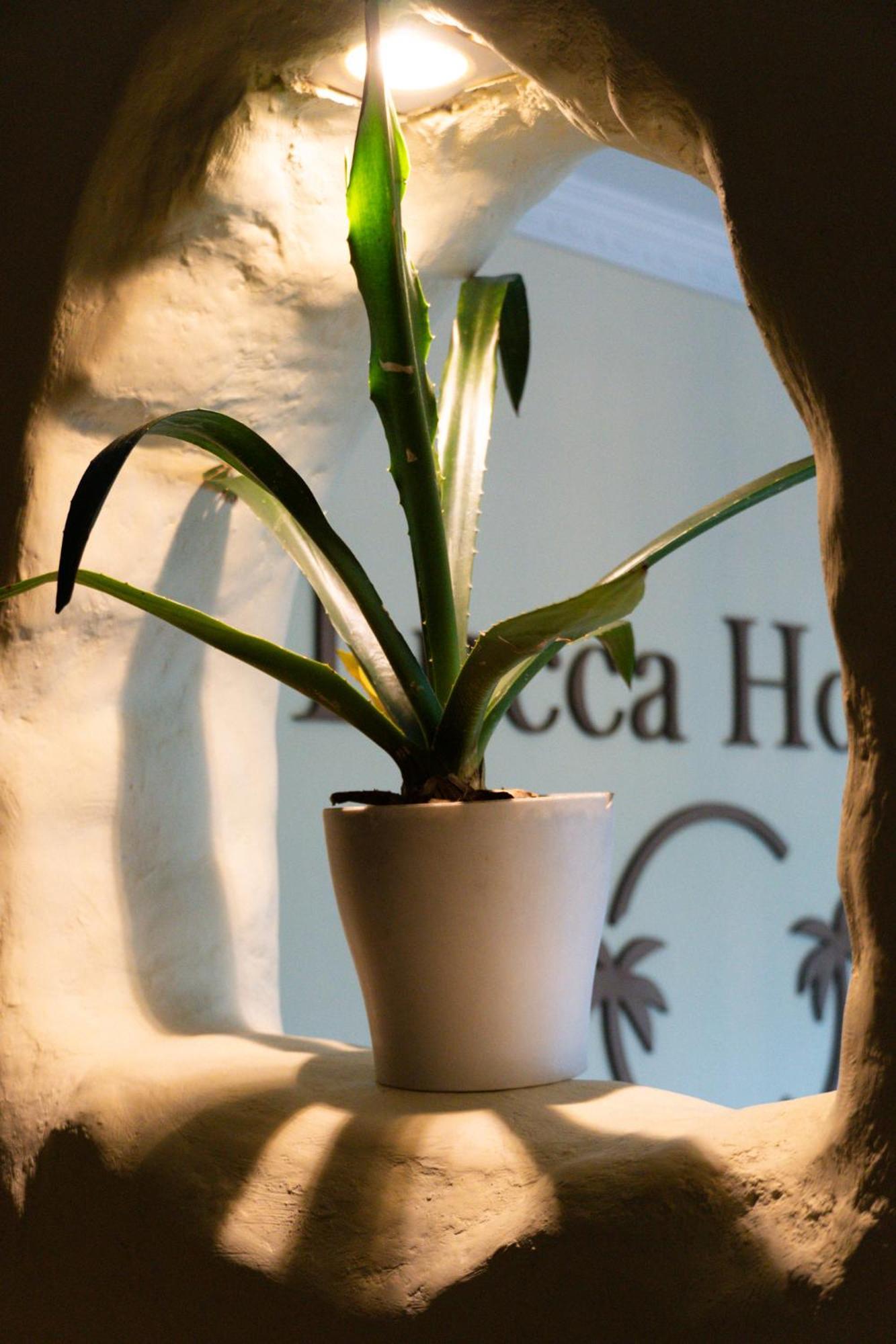 Lucca Guest house *